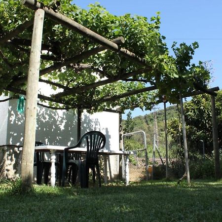 Vila Casa La Maceta Cádiz Exteriér fotografie