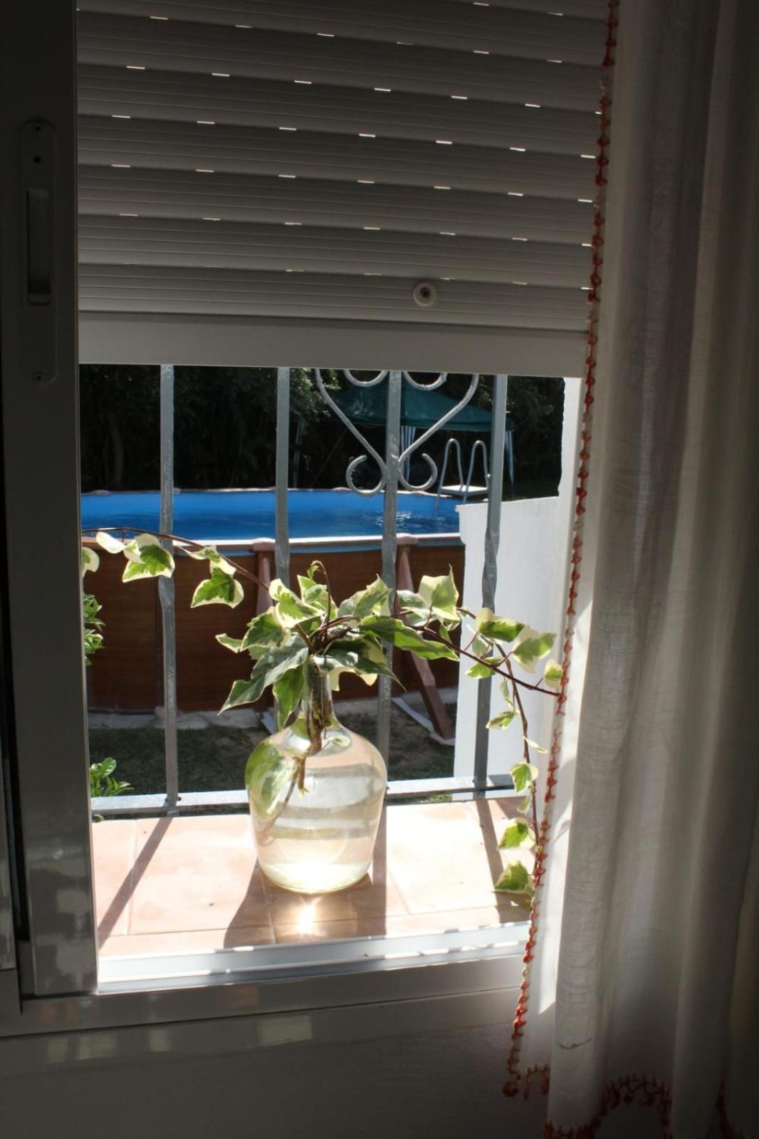 Vila Casa La Maceta Cádiz Exteriér fotografie