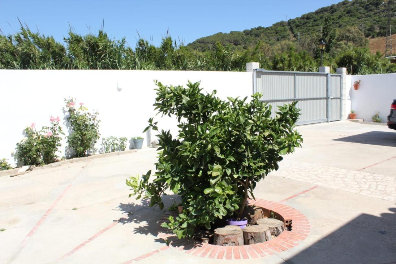 Vila Casa La Maceta Cádiz Exteriér fotografie